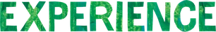 EXPERIENCE
